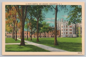 Binghamton NY State Mental Hospital Insane Asylum and Grounds New York Postcard - Picture 1 of 4