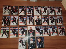 DEL 20-21 2020-2021 Team Set Nuremberg Ice Tigers 27 Cards