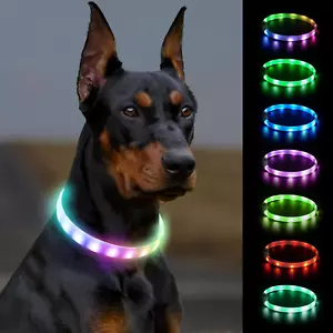 Joytale Leuchthalsband Hund, Hundehalsband Leuchtend Aufladbar, Längenverstellba - Bild 1 von 12