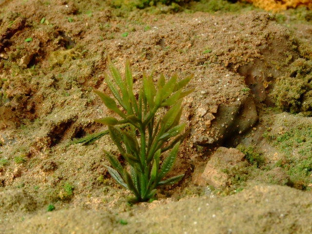 Piante sempreverdi in foglie per plastico o diorama 1/35 Pz. 5 - Krea 108 - Immagine 1 di 1