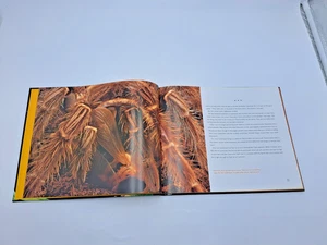 The Tarantula Scientist Book - Foto 1 di 8