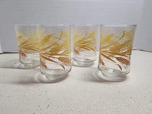 Set Of 4 Libbey Juice Glasses 6 oz Wheat Pattern 3.5" Clear Orange Gold Vintage - Picture 1 of 7