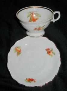 VINTAGE SCHUMANN, E&R BAVARIA PORCELAIN CUP & SAUCER, FRUIT DECORATION, ARZBERG - Picture 1 of 4