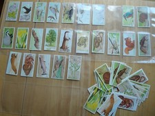 VINTAGE 'A JOURNEY DOWNSTREAM' 24 LOOSE CARDS BROOKE BOND TEA + 38 EXTRAS