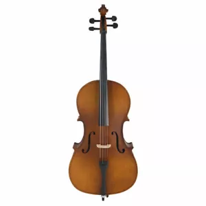 Professional 4/4 Matte Golden Acoustic Basswood Cello Case Bow Rosin For Adults - Picture 1 of 9