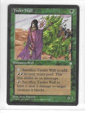 MTG ICE AGE --- TINDER WALL --- Common! NM! Magic the Gathering!