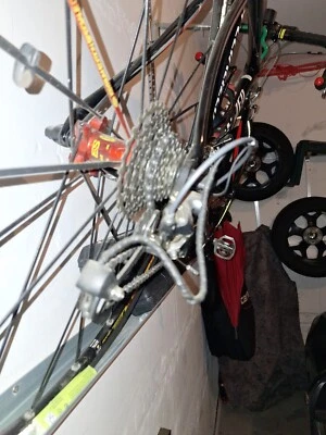 rennrad carbon 56 - Bild 1 von 4