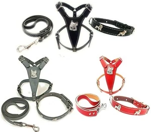 Beautiful Leather Frenchie Harness, Collar and Leash SET for French Bulldog - Picture 1 of 10