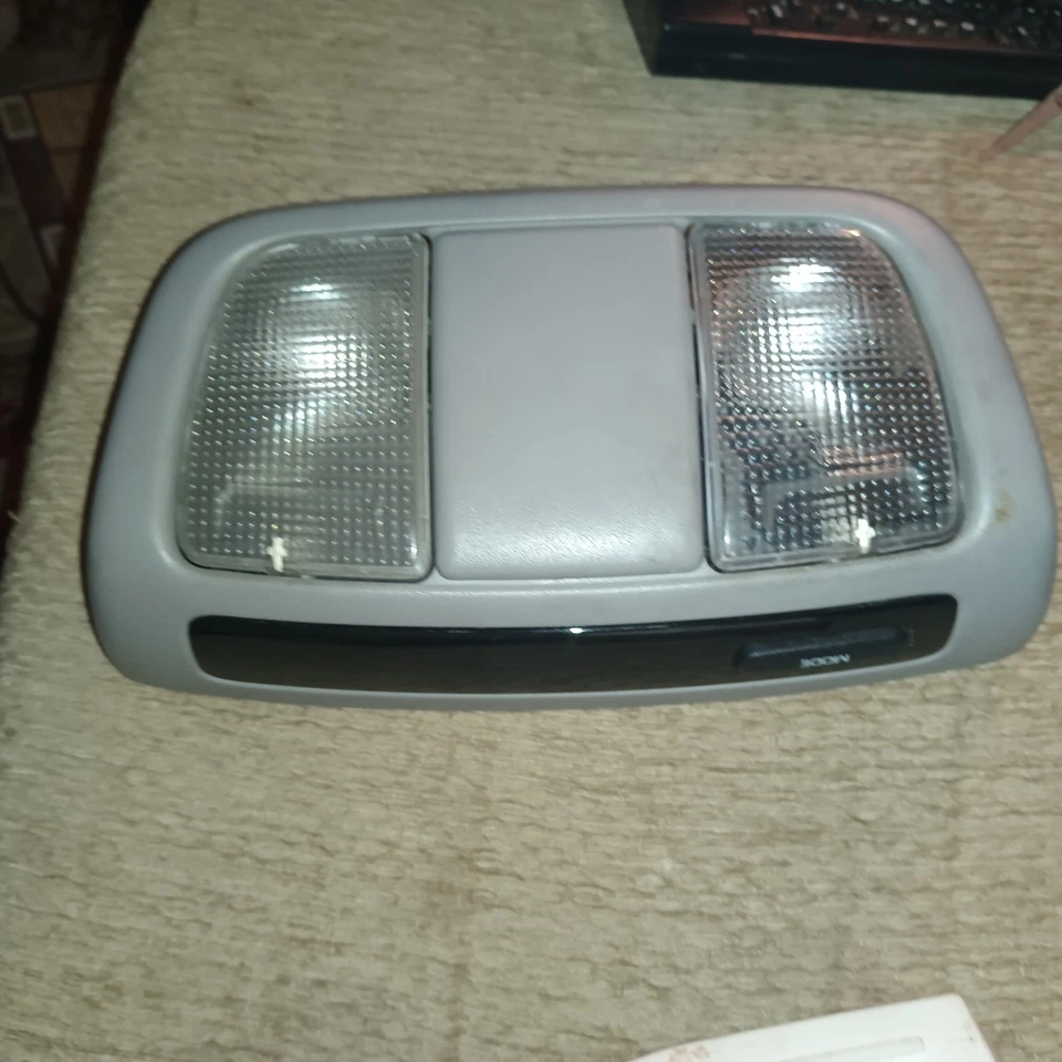 Nissan Xterra Frontier 2002-2004 mapa superior cúpula interior gris claro OEM Foto 1 de 4