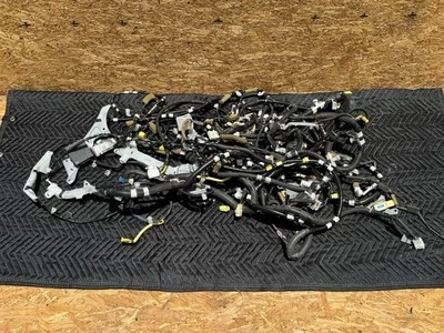 Chicote de fios 2001-2003 Lexus LS430 chassi/cabine/área do porta-malas - Imagem 1 de 4