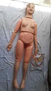 Multi Functional Nursing Manikin (Female) A12.. - Picture 1 of 4