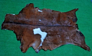 New Goat hide Rug Hair on Area Rug Size 40"x24" Animal Leather Goat Skin S1787 - Picture 1 of 3