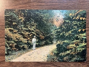 Fern Gully, Jamaica, BWI Postcard ~ Unposted, DB - Picture 1 of 2