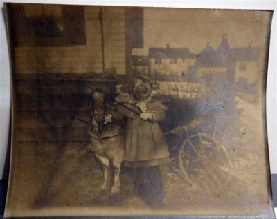 Fotografía original Goat Drive Carriage & Child Kelowna BC c1890 Foto 1 de 2