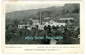 Deposit NY - BIRDSEYE BORDENS CREAMERY & ICE HOUSE - Cartolina Catskills - Foto 1 di 2