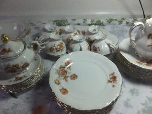Mitterteich Bavaria Norway Rose Germany dinner china dishes  set gold rim 36 pcs - Picture 1 of 19