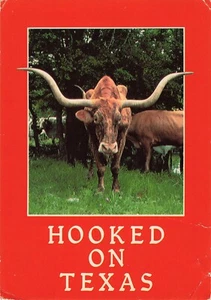 Hooked on Texas Longhorns TX Vintage Postcard - Picture 1 of 2