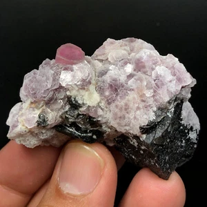 302 Carats Very Unique Quality Tourmaline with Quartz Specimen @ Afghan - Picture 1 of 4