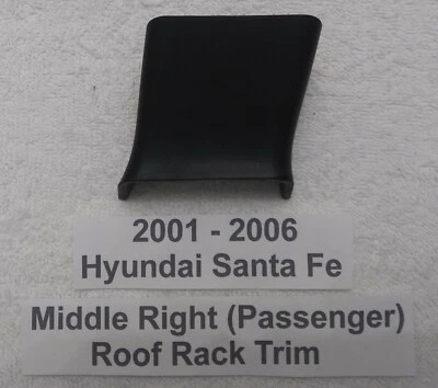 Baca de techo Hyundai Santa Fe 2005 tapa central derecha 2001 2002 2003 04 2006 OEM Foto 1 de 4