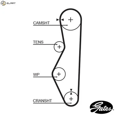 TIMING BELT 5521XS FOR LADA VEGA NATASHA/Convertible CEVARO VOLUMES SAMARA 1.3L - Image 1 of 4
