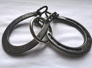 Rompecabezas Diamond Hot Forged Horseshoe Mind Bender - Imagen 1 de 5