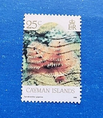 开曼群岛邮票,斯科特 566 二手 — 第 1/2 张图片