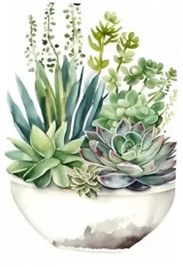 5D Diamond Painting Kits for Adults, DIY Full 12x16 inch Succulent Plantery - Picture 1 of 8