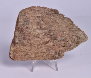 ZIRCON, JACK HILLS, Metaconglomerado Narrador Gneiss Slice, Australia S993 - Imagen 1 de 5