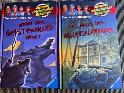 2 Bücher/Thomas Brezina „Die Knickerbocker Bande „/2005 - Bild 1 von 2