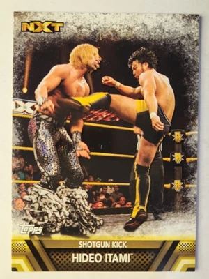 2017 Topps WWE Then Now Forever #F-40 HIDEO ITAMI FINISHERS & SIGNATURE MOVES - Image 1 of 2