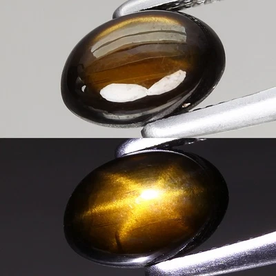 1.2ct Natural Unheated 6 Ray Black Star Sapphire Oval Cab 6.6x4.5mm , Thailand - Image 1 of 4