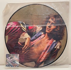PETER FRAMPTON * I'm In You * Limited 1978 Promo Picture Disc * A&M Records - Picture 1 of 2