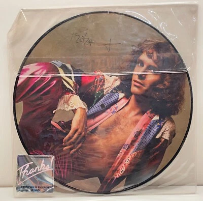 PETER FRAMPTON * I'm In You * Limited 1978 Promo Picture Disc * A&M Records - Image 1 of 2