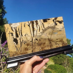 Picture Story Jasper Pastel Dendrite Statement Book Carving Crystal 866 gram - Picture 1 of 11