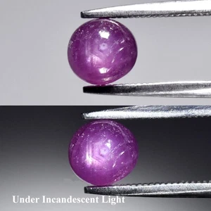 💎 1,75ct Oval Natur Pinkish Purple 6 Strahlen Stern Saphir - Unbeheizt, Guinea Edelstein - Bild 1 von 6
