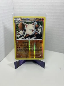 Primeape - 53/114 - Raro - Holograma Inverso (XY Steam) Pokemon TCG 2016 Oficial - Imagen 1 de 5