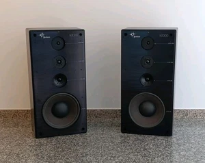 Rare Casse Peerless Hf1000 Grandi Diffusori Hifi Vintage Suono Fantastico Hi end - Imagen 1 de 9