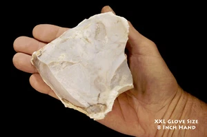 ÁGATA PÚRPURA 4 1/2" 1-2 Lb Lapidario Roca Cruda Espécimen Mineral Cristal Curativo - Imagen 1 de 3