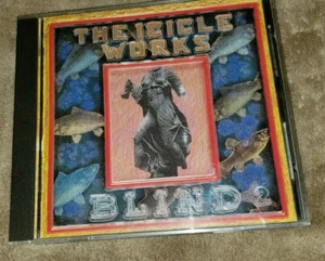 THE ICICLE WORKS cd BLIND - Picture 1 of 5