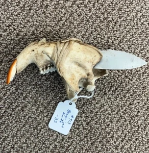 beaver jaw knife w/ schrade blade homemade custom - Picture 1 of 4