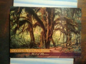 BEAUTIFUL POST CARD HALL OF MOSSES OLYMPIC NATIONAL PARK WASHINGTON - Picture 1 of 12