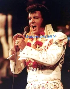 "Elvis Presley" "King of Rock & Roll" Beautiful "Pin Up" PHOTO! #(7)  - Picture 1 of 2