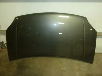 04-07 FORD FREESTAR Dark Gray Grey Hood Bonnet Lid OEM LOCAL PICKUP ONLY! Foto 1 de 4