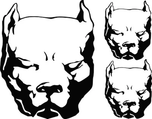 PITBULL x 3 Vinyl Decal - Picture 1 of 1