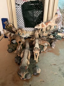 Danbury Mint Wölfe Wolf Paket Skulptur Figuren Deko Kunst 3 Stück - Bild 1 von 18