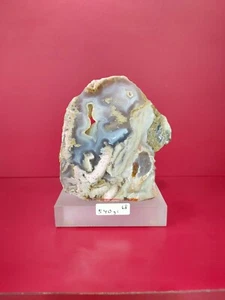 Pink petrified wood agate crystal polished with base 540gr 4x9x11cm (68) - Picture 1 of 9