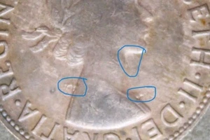 * 1964y. PENNY REVERSE DENTICLE PATTERNS EITHER SIDE OF QUEENS NECK BEARD #KLM24 - Picture 1 of 10