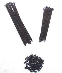 STOYE I - LAUFRAD - SPEICHEN SATZ - 36 STK - SCHWARZ CHROM - KLEINE NABE 643988* - Bild 1 von 1