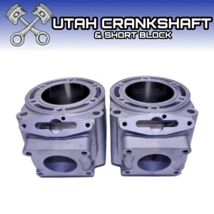 RAN ONCE Plated OEM Polaris 600 Cylinder Set 2007-2012 Dragon IQ LXT RMK 3021718 - Picture 1 of 10