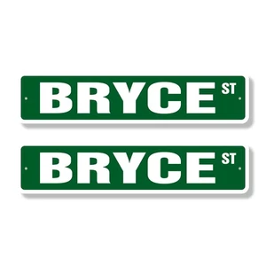 BRYCE Street Sign (2 Pack) Childrens Name Room Metal Road Sign - Picture 1 of 7